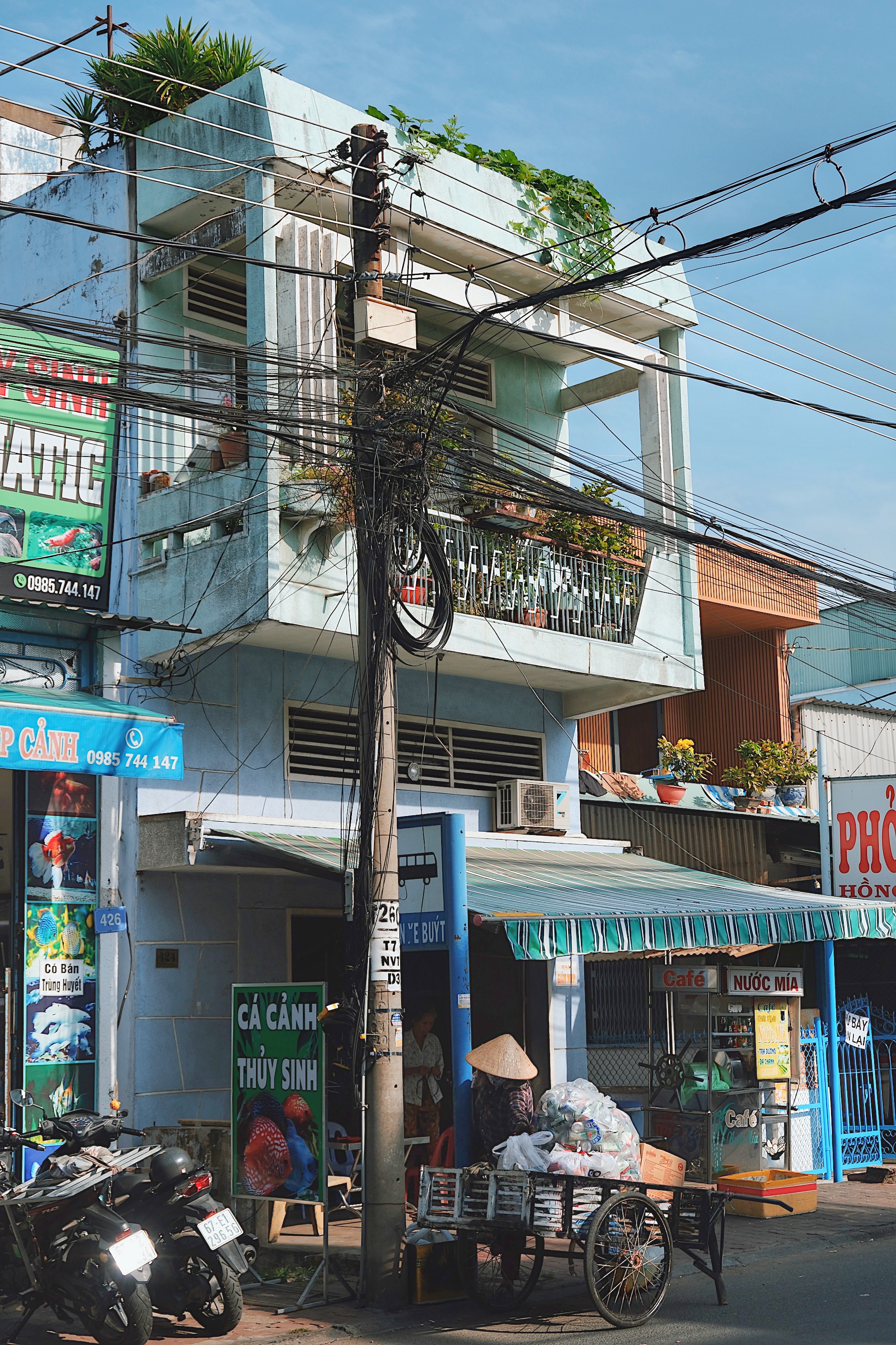 Expressive modernist buildings in Chau Doc, Vietnam, with sculptural concrete screens and layered sun-shading techniques.