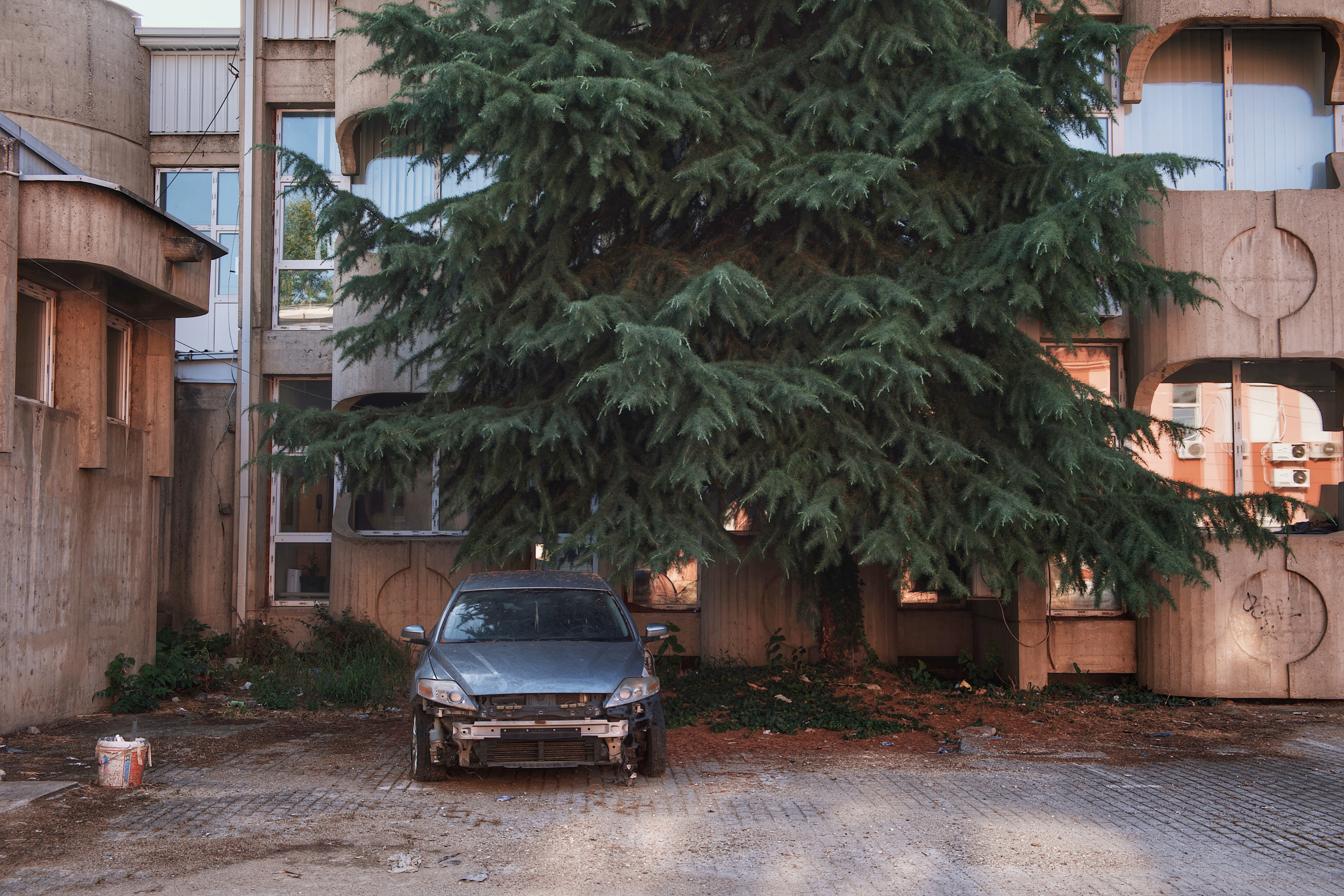 Faculty of Medicine in Skopje, featuring brutalist concrete forms partially obscured by overgrown vegetation and a damaged car
